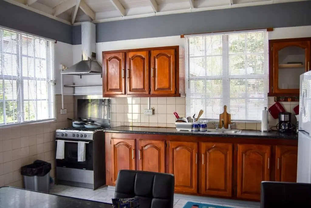 Apartamento Green Castle Apartment#2 In City Of Roseau
